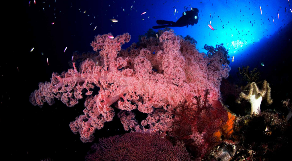 Questa immagine ha l'attributo alt vuoto; il nome del file è Settimio-Screenshot-2023-10-13-102408-1024x565.png