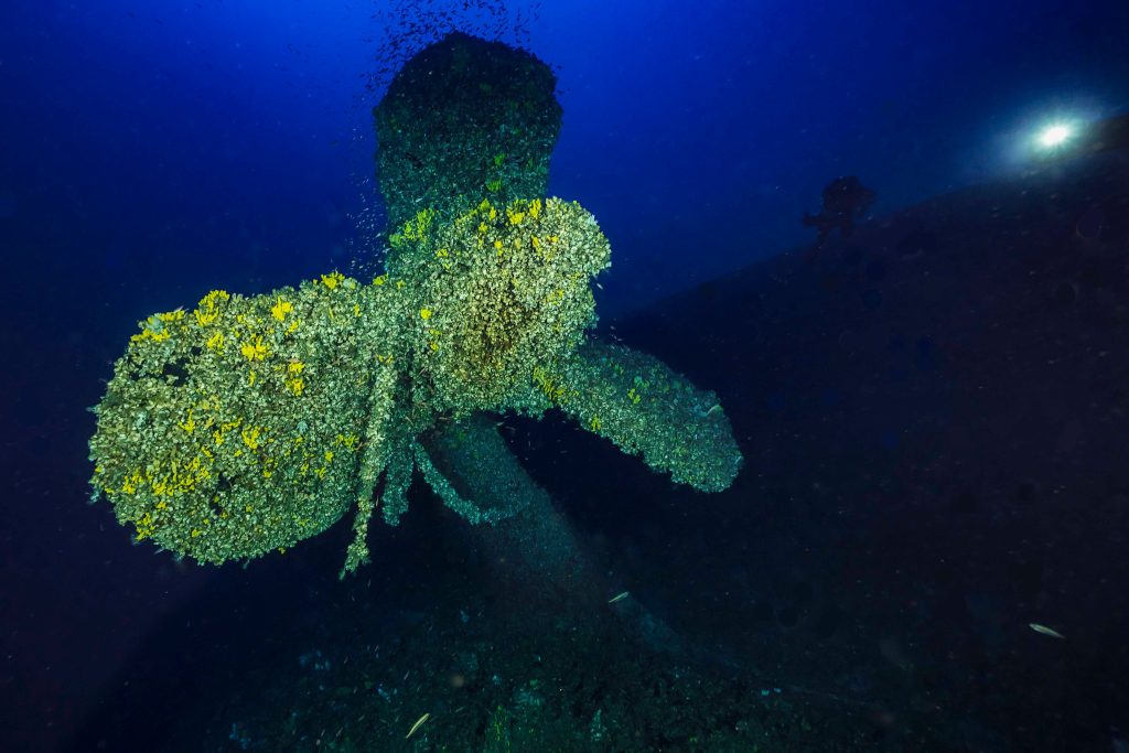 Questa immagine ha l'attributo alt vuoto; il nome del file è ALDO-FERRUCCI-RELITTO-RMS-BRITANNIC-1024x683.jpg