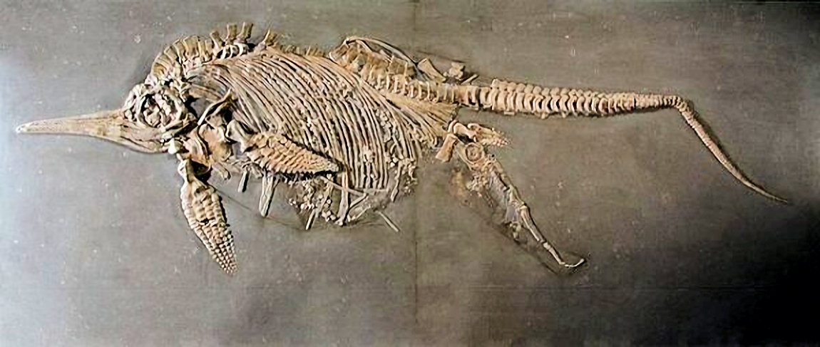 ittiosauro