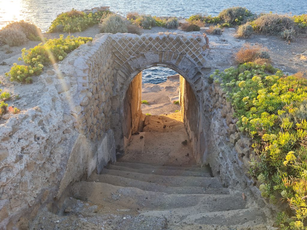 Questa immagine ha l'attributo alt vuoto; il nome del file è 20230911_184639-1024x768.jpg