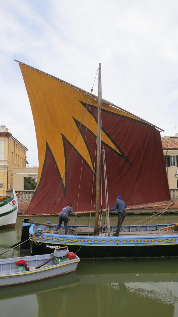 Questa immagine ha l'attributo alt vuoto; il nome del file è IMG_5273-1024x575-1-rotated.jpg