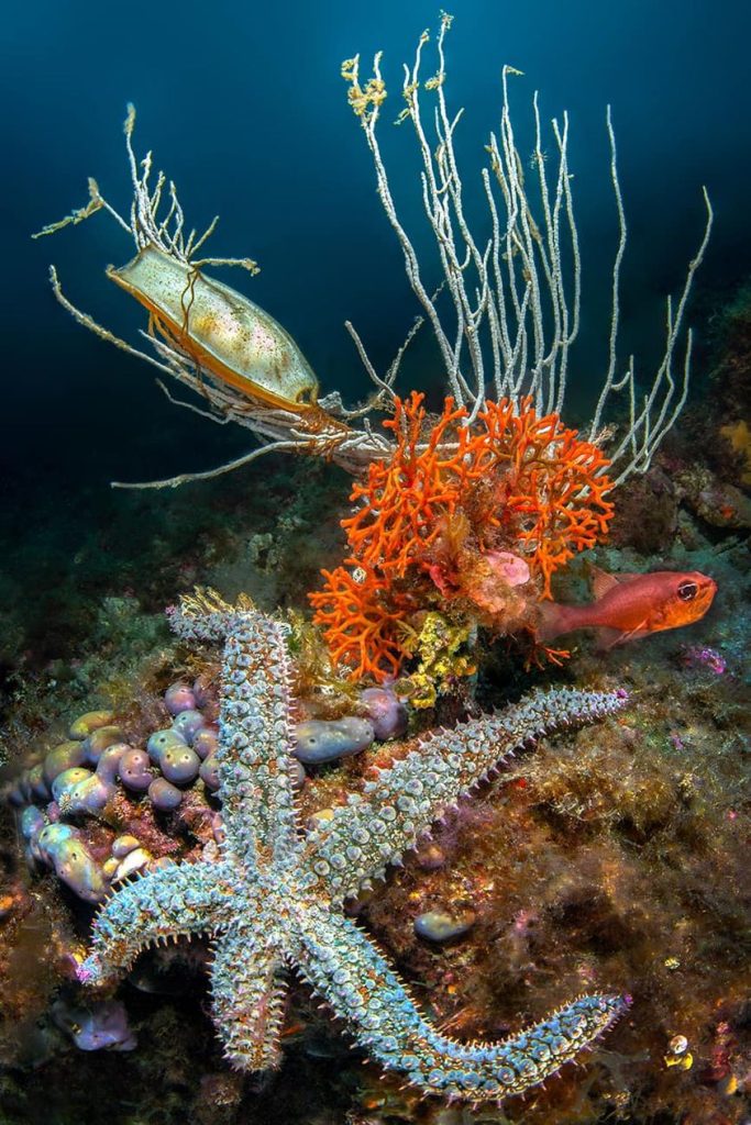 Questa immagine ha l'attributo alt vuoto; il nome del file è ROSCIGNO-360159457_10222677410219454_4166404542815011000_n-683x1024.jpg