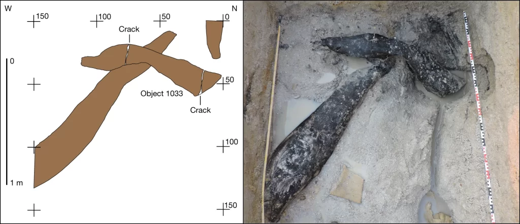 Questa immagine ha l'attributo alt vuoto; il nome del file è GEOLOGIA-TRONCHI-LAVOARTI-HOMO-HELMEI-41586_2023_6557_Fig3_HTML-1024x441.webp
