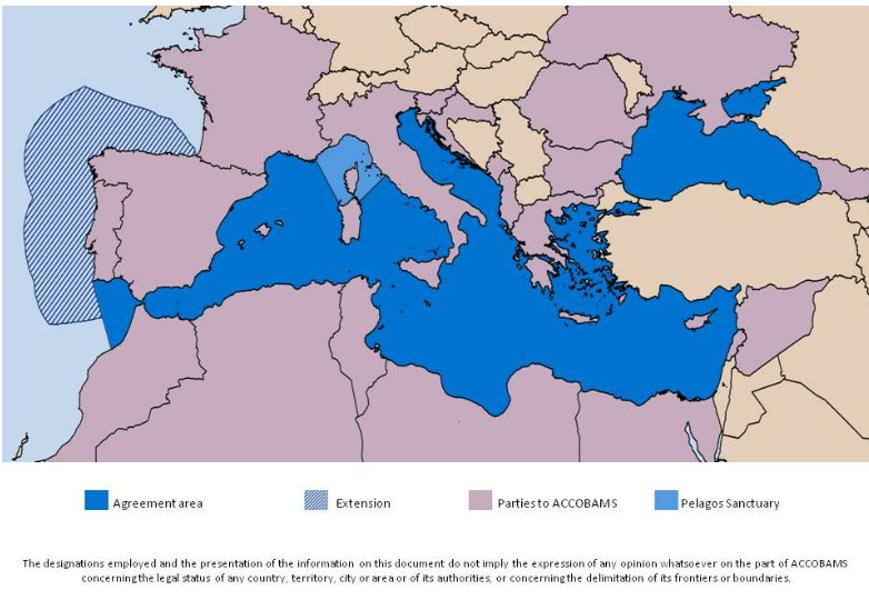 Questa immagine ha l'attributo alt vuoto; il nome del file è Screenshot-2024-01-03-181606.png