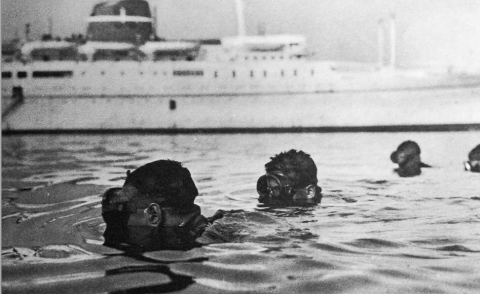 Questa immagine ha l'attributo alt vuoto; il nome del file è Screenshot-2024-01-24-211534.png