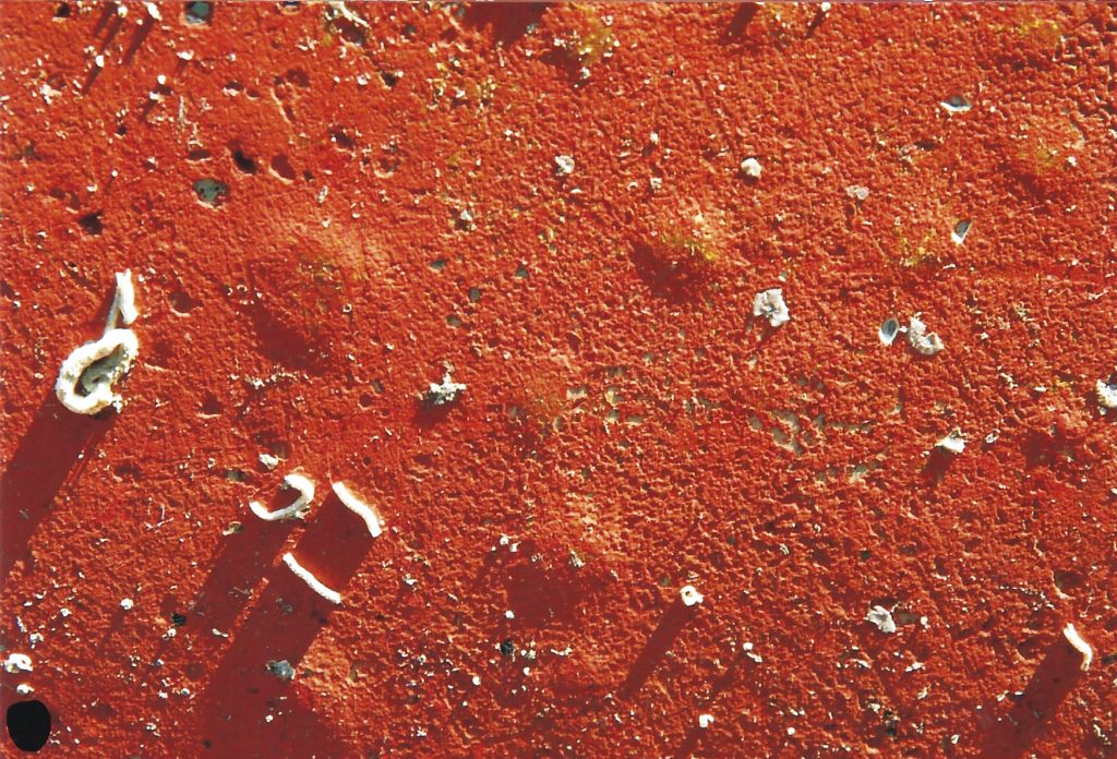 Questa immagine ha l'attributo alt vuoto; il nome del file è bolle-osmosi-1024x696.jpg