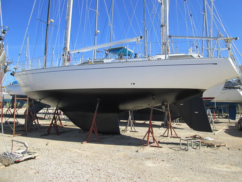 Questa immagine ha l'attributo alt vuoto; il nome del file è koala-50.jpg