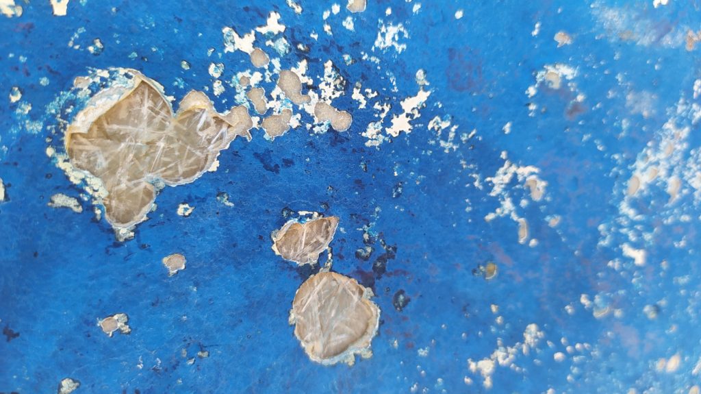 Questa immagine ha l'attributo alt vuoto; il nome del file è IMG-20230318-WA0015-1024x575.jpg