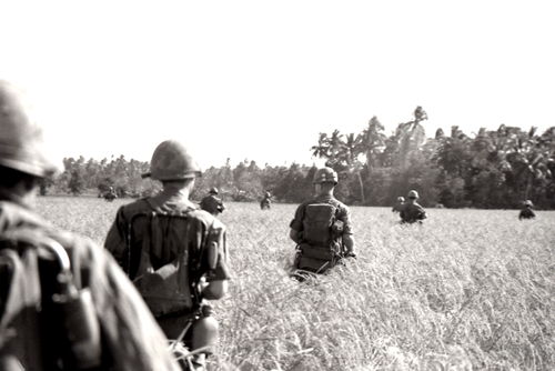 Questa immagine ha l'attributo alt vuoto; il nome del file è ROSSI-VIETNAM-RISAIA001GAR01191.jpg