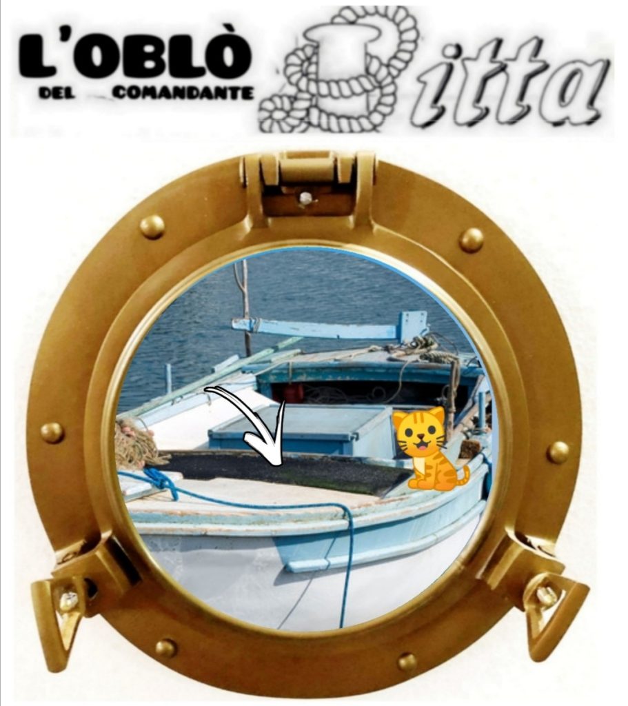 Questa immagine ha l'attributo alt vuoto; il nome del file è giannetti-gatta-911x1024.jpg