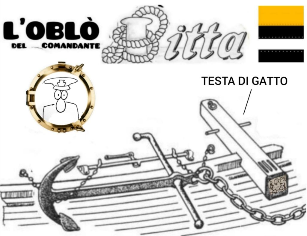 Questa immagine ha l'attributo alt vuoto; il nome del file è giannetti-testa-di-gatto-1024x785.jpg