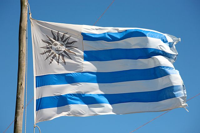 Questa immagine ha l'attributo alt vuoto; il nome del file è BANDIERE-640px-Flying_the_Uruguayan_Flag_5364143845.jpg