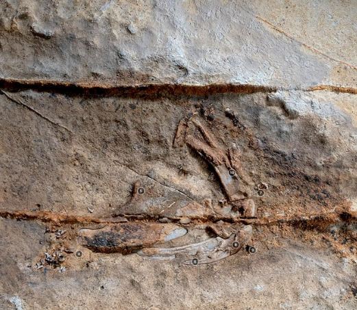 Questa immagine ha l'attributo alt vuoto; il nome del file è Screenshot-2024-02-24-145219.png