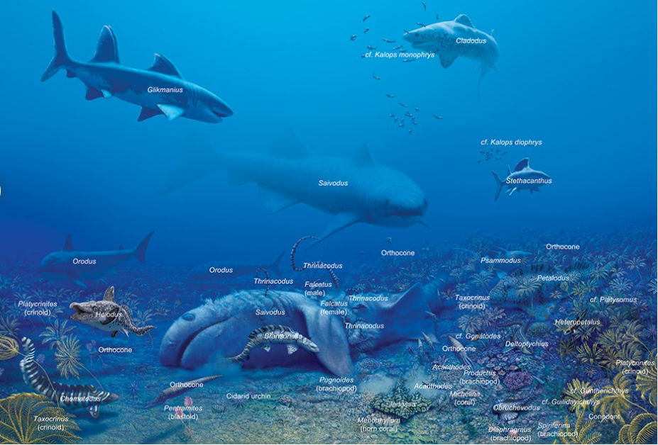 Questa immagine ha l'attributo alt vuoto; il nome del file è Screenshot-2024-03-23-144146.png