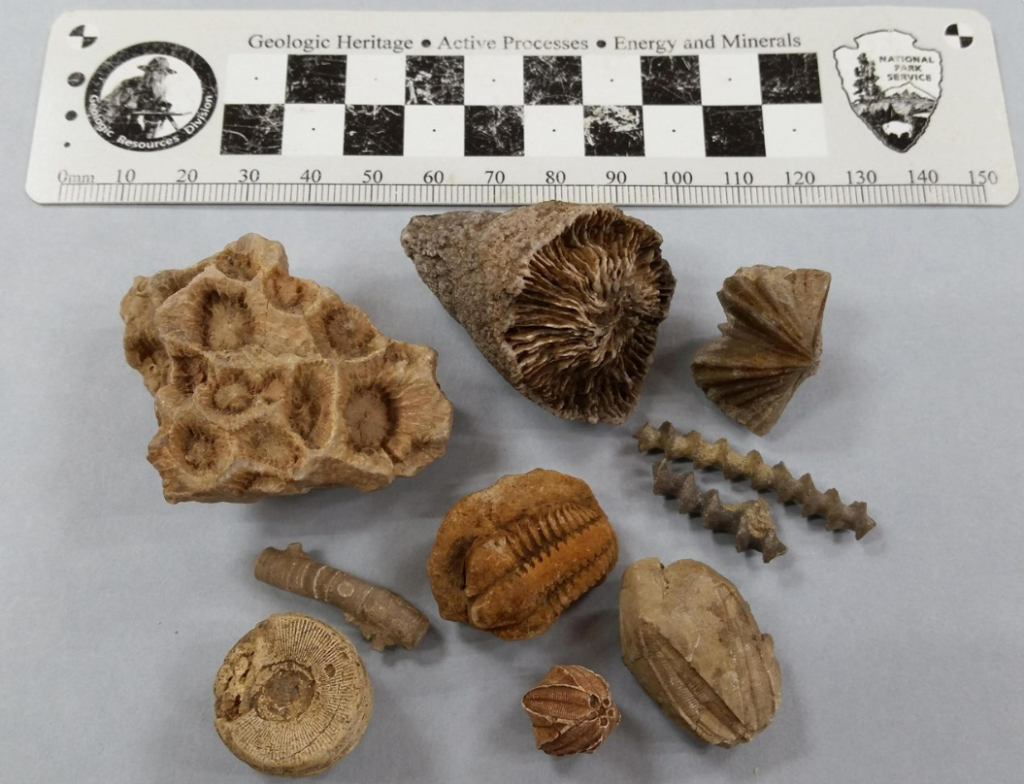 Questa immagine ha l'attributo alt vuoto; il nome del file è Screenshot-2024-03-23-144537-1024x784.png