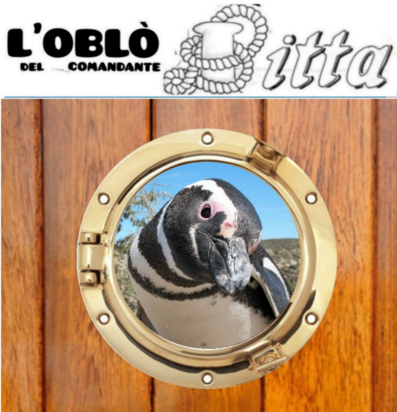 Questa immagine ha l'attributo alt vuoto; il nome del file è Screenshot-2024-03-26-182652.png