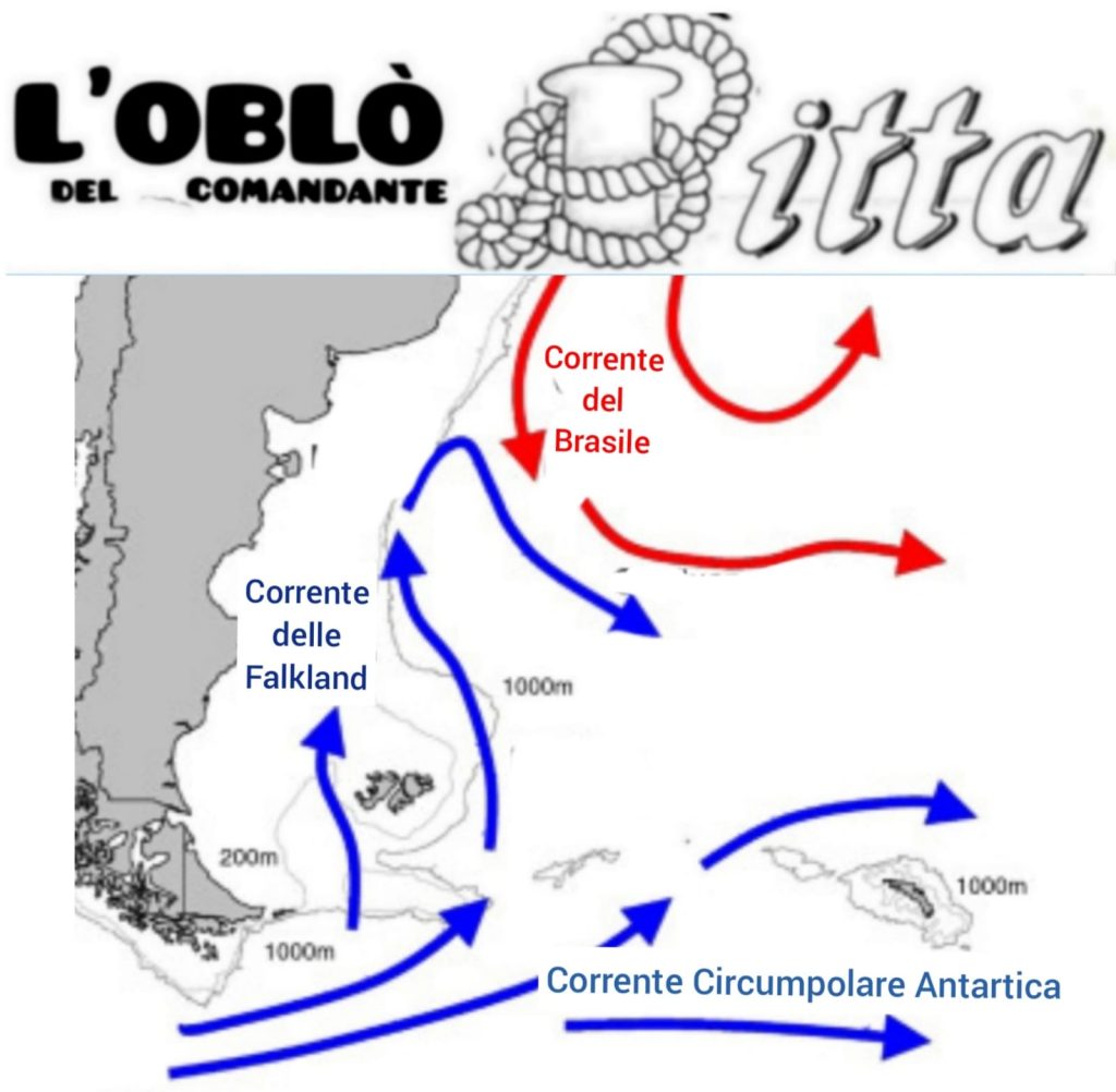 Questa immagine ha l'attributo alt vuoto; il nome del file è 42760f74-6c7a-4893-84ee-391b5b0d2fe7-1024x1002.jpeg