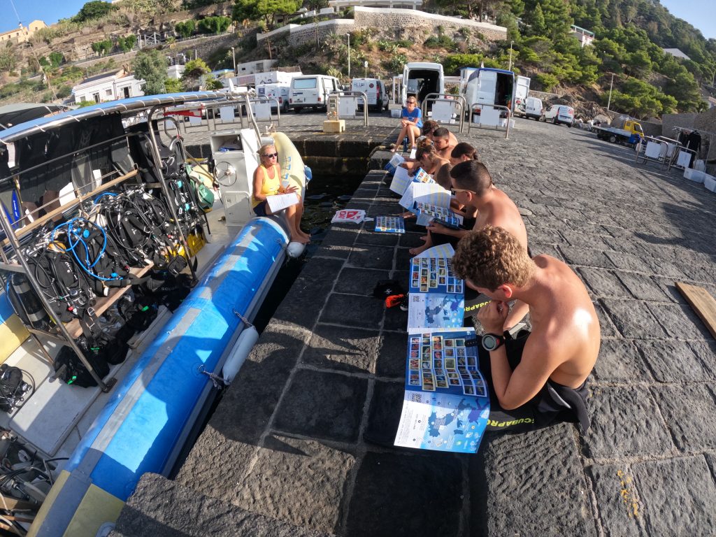 Questa immagine ha l'attributo alt vuoto; il nome del file è GOPR0361_1662648651761-1024x768.jpg