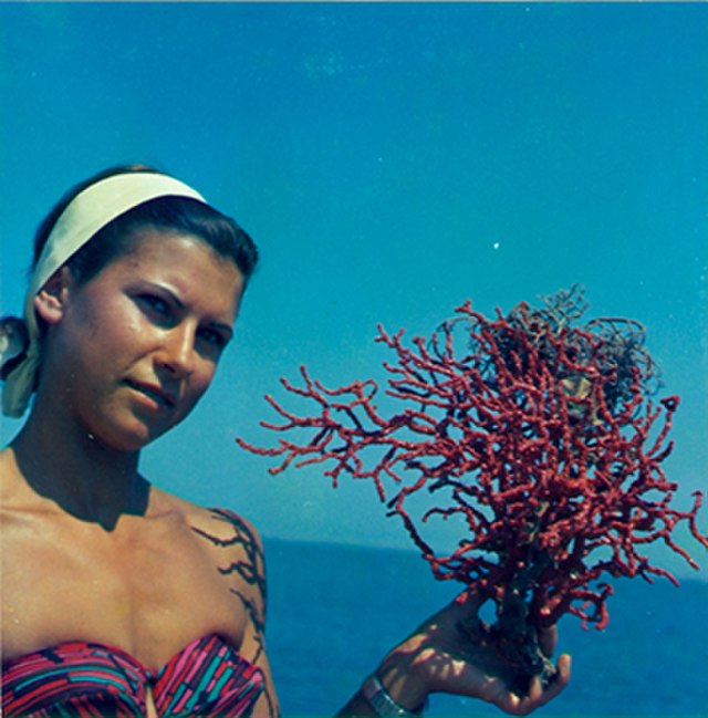 Questa immagine ha l'attributo alt vuoto; il nome del file è Luciana_Civico_corallo_pesca_alte_profondita.jpg