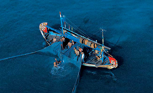 Questa immagine ha l'attributo alt vuoto; il nome del file è ROSSI-006GAR10476-PESCA.jpg
