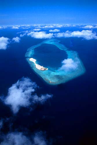 Questa immagine ha l'attributo alt vuoto; il nome del file è ROSSI-006GAR17825-SPRATLEY-ISLAND.jpg