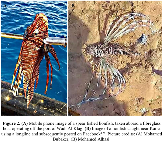 Questa immagine ha l'attributo alt vuoto; il nome del file è Screenshot-2024-05-09-105714.png