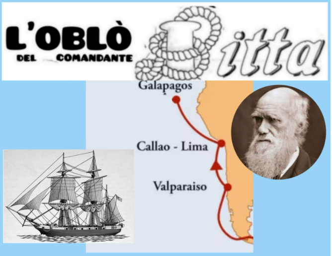 Questa immagine ha l'attributo alt vuoto; il nome del file è Screenshot-2024-05-16-205249.png