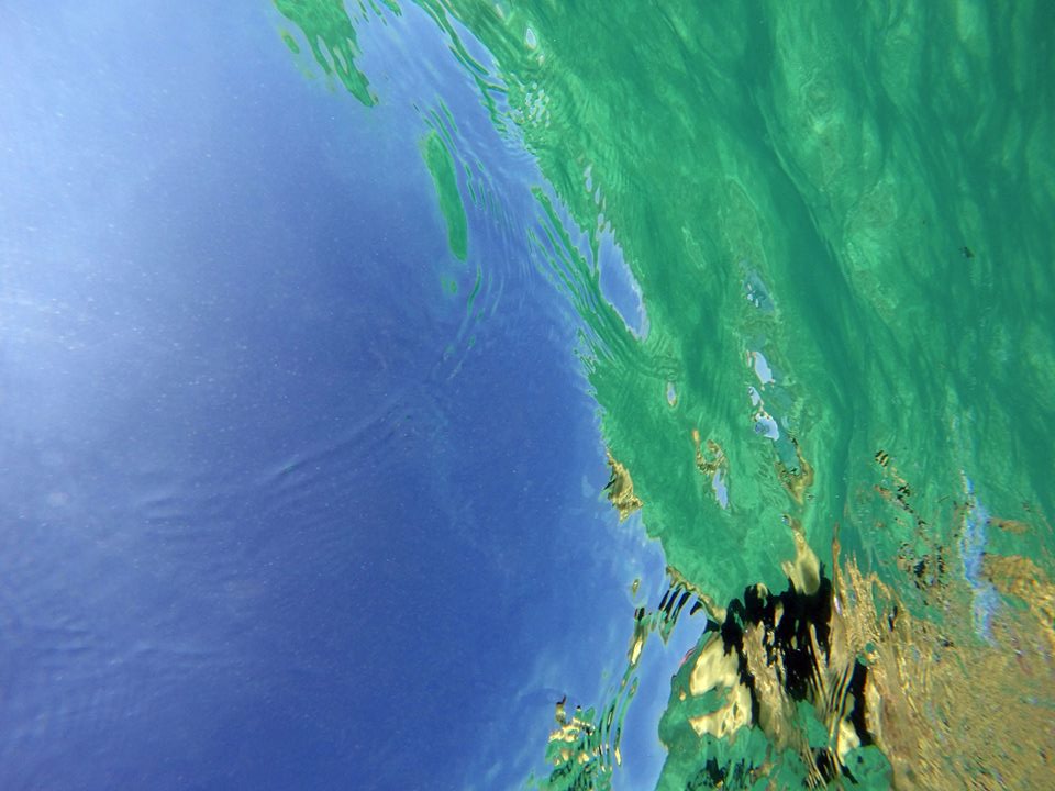 Questa immagine ha l'attributo alt vuoto; il nome del file è andrea-mucedola-75439542_1492678084224060_3194290168718688256_n.jpg