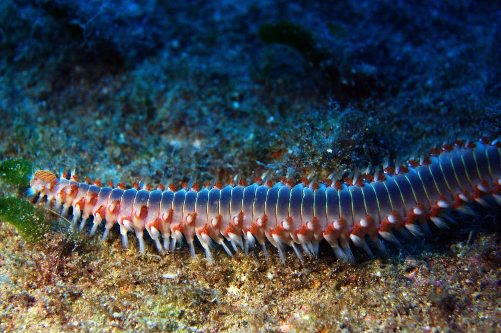 Questa immagine ha l'attributo alt vuoto; il nome del file è DSC_8977-1-1024x681.jpg