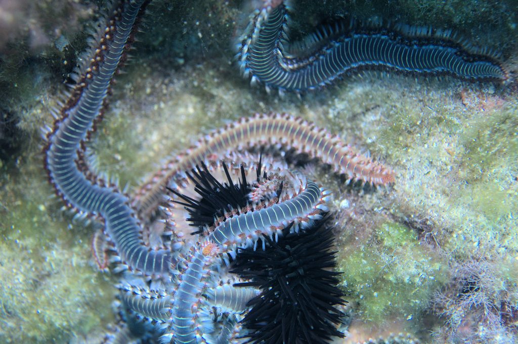 Questa immagine ha l'attributo alt vuoto; il nome del file è DSC_9020-1-1024x681.jpg