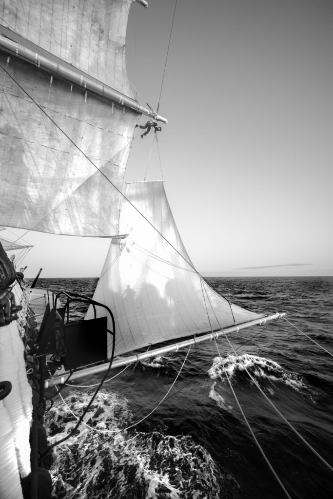 Questa immagine ha l'attributo alt vuoto; il nome del file è DSF3652bwG-683x1024.jpg