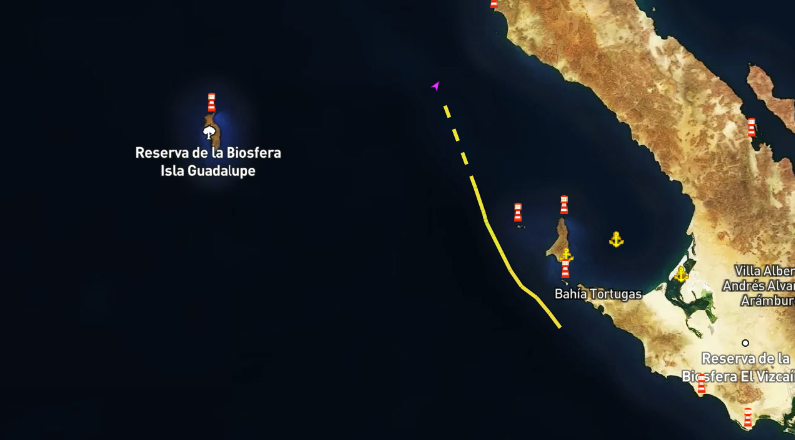 Questa immagine ha l'attributo alt vuoto; il nome del file è Screenshot-2024-06-28-172249.png