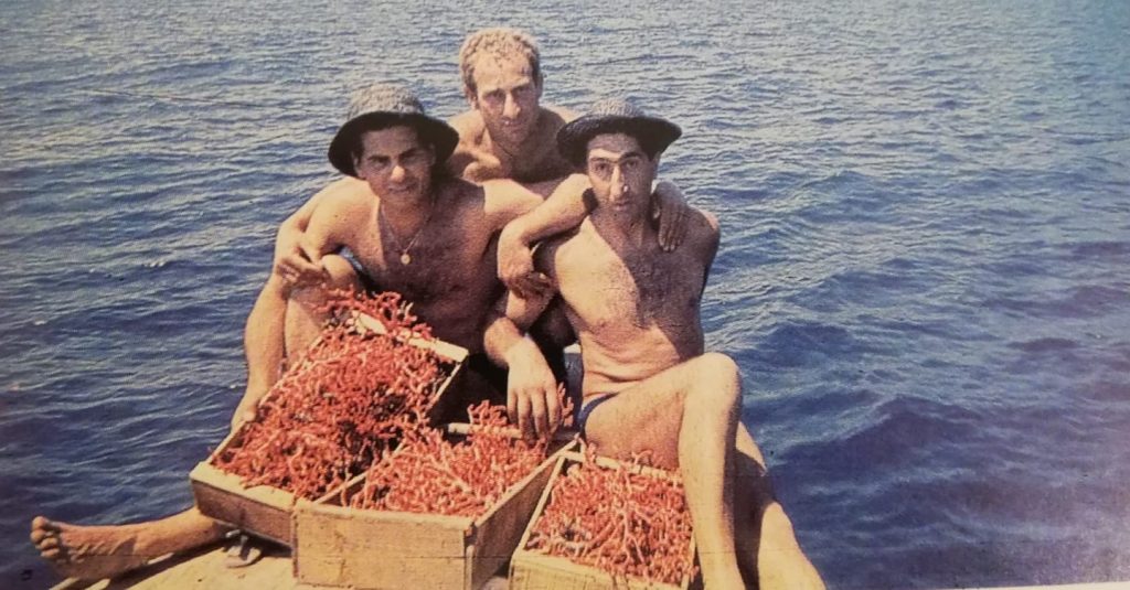 Questa immagine ha l'attributo alt vuoto; il nome del file è ripa-novelli-corallari-1024x535.jpg