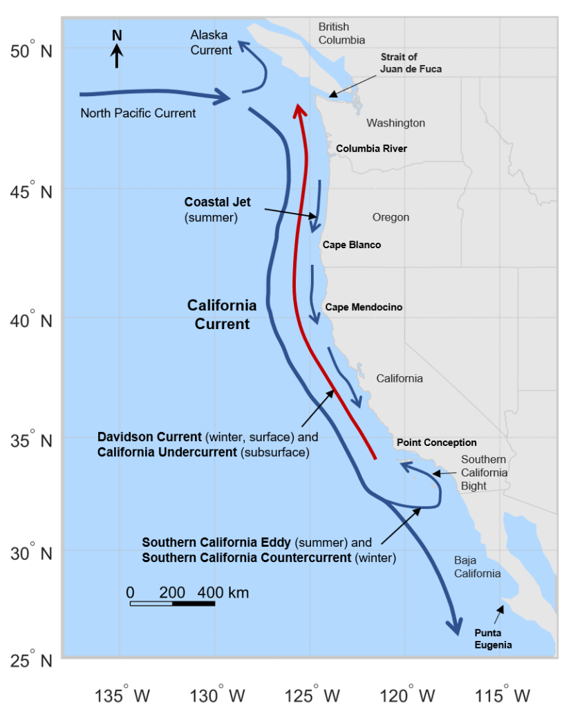 Questa immagine ha l'attributo alt vuoto; il nome del file è Diagram_of_California_Current_System-829x1024.png