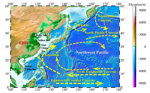Questa immagine ha l'attributo alt vuoto; il nome del file è Screenshot-2024-08-18-174800.png