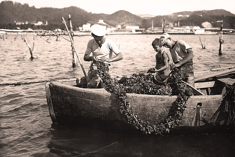 Questa immagine ha l'attributo alt vuoto; il nome del file è Mitilicoltori_004-spezia.jpg