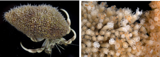 Questa immagine ha l'attributo alt vuoto; il nome del file è Screenshot-2024-09-09-130723.png