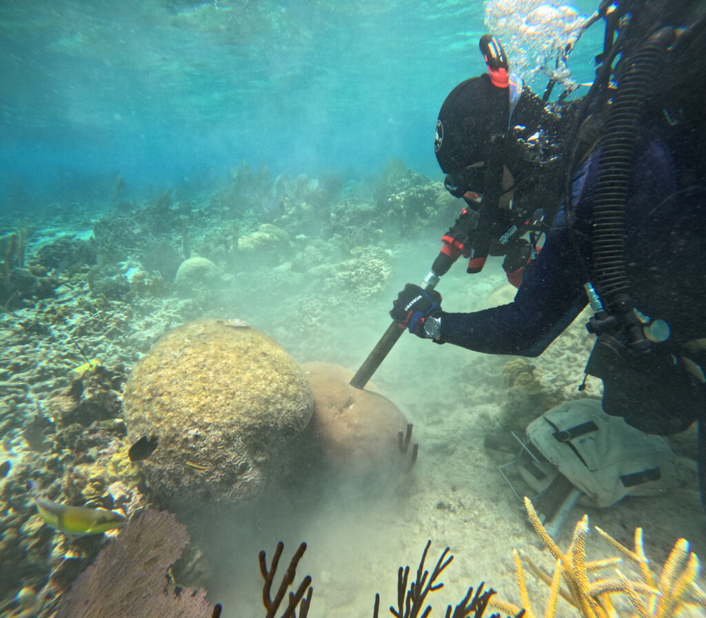 Questa immagine ha l'attributo alt vuoto; il nome del file è 01_Drilling_-1024x896.jpg