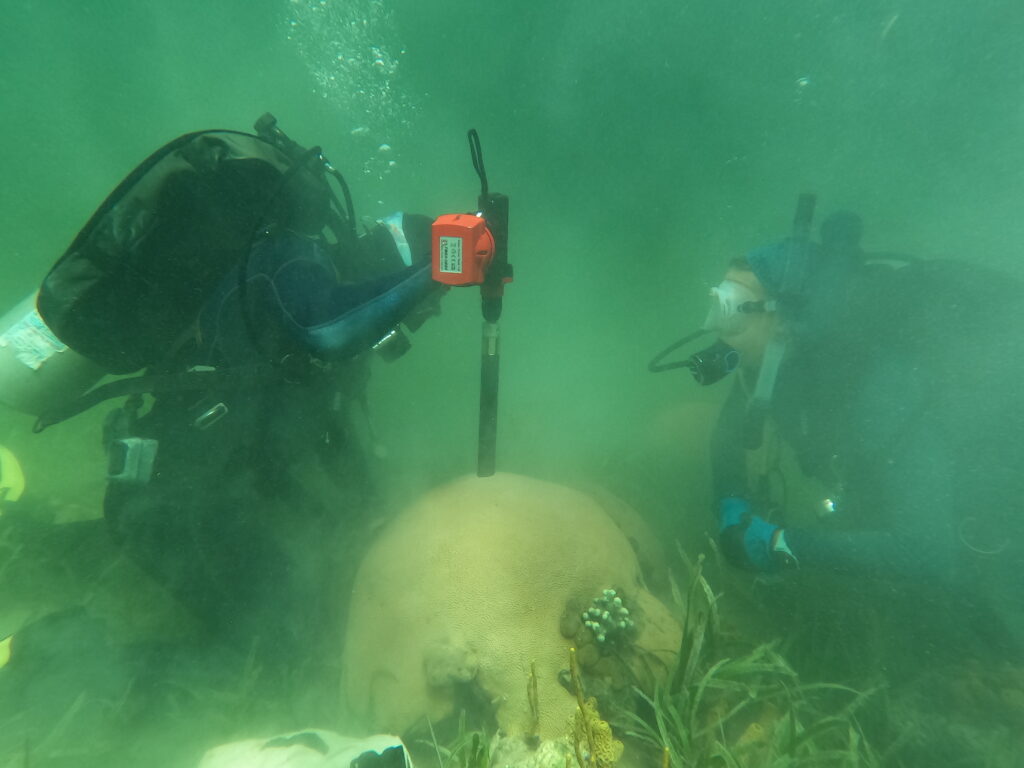 Questa immagine ha l'attributo alt vuoto; il nome del file è 02_Drilling-1024x768.jpg