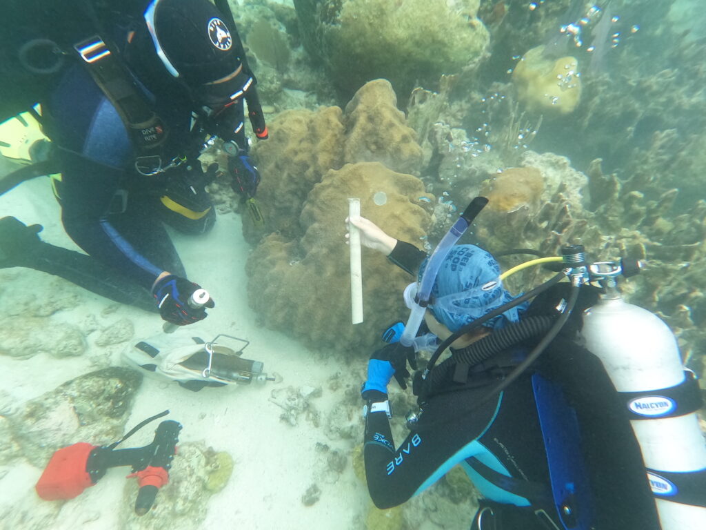 Questa immagine ha l'attributo alt vuoto; il nome del file è 03_Core-1-1024x768.jpg