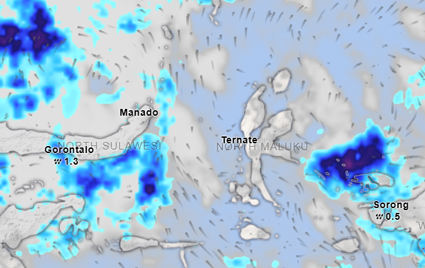 Questa immagine ha l'attributo alt vuoto; il nome del file è Screenshot-2024-09-25-173414.png