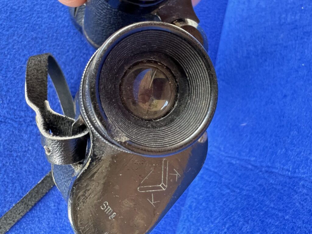 Questa immagine ha l'attributo alt vuoto; il nome del file è binolo-koritska-smg-1024x768.jpeg