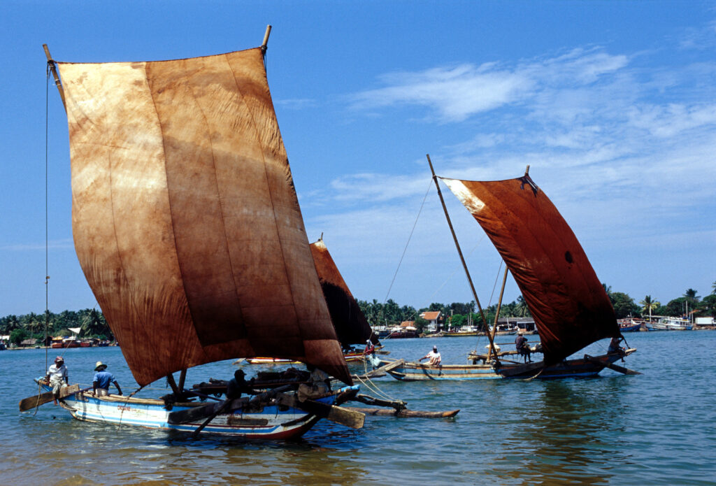 Questa immagine ha l'attributo alt vuoto; il nome del file è 006GAR00036-1024x695.jpg