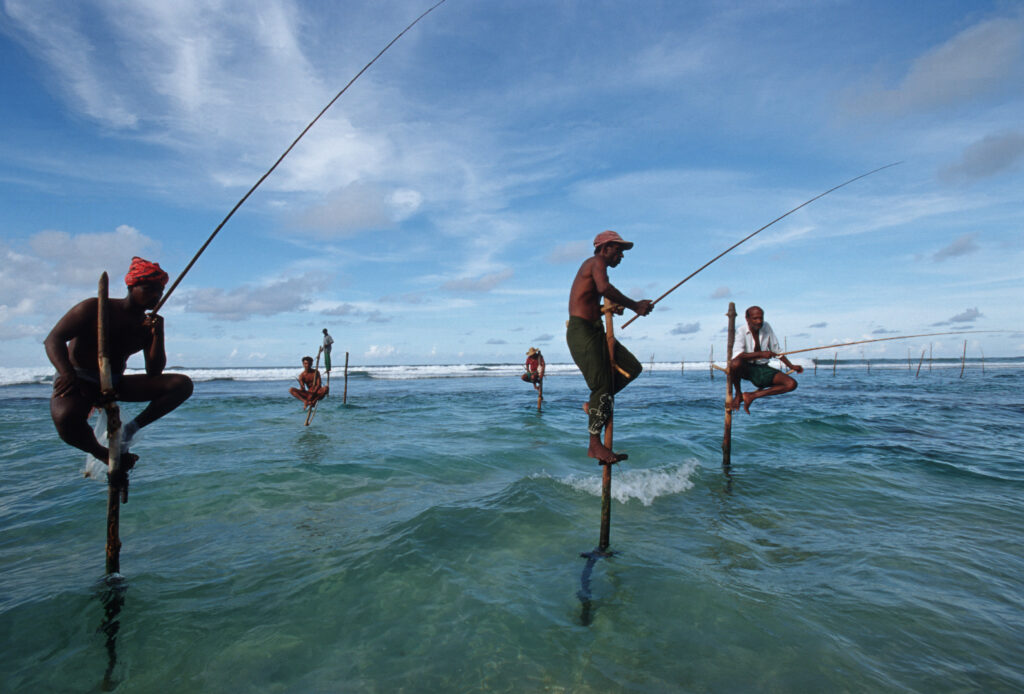 Questa immagine ha l'attributo alt vuoto; il nome del file è 006GAR01606-1024x694.jpg