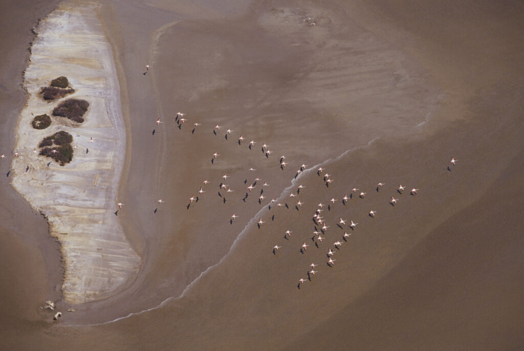 Questa immagine ha l'attributo alt vuoto; il nome del file è 006GAR10359-1024x686.jpg