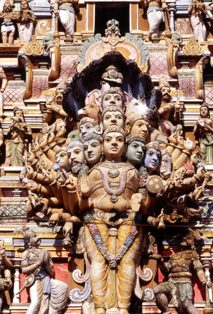 Questa immagine ha l'attributo alt vuoto; il nome del file è 006GAR22546-696x1024.jpg