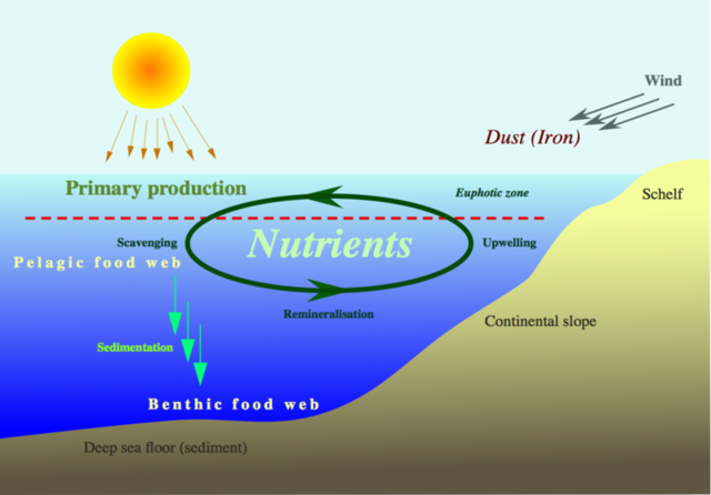 Questa immagine ha l'attributo alt vuoto; il nome del file è 640px-Nutrient-cycle_hg.png