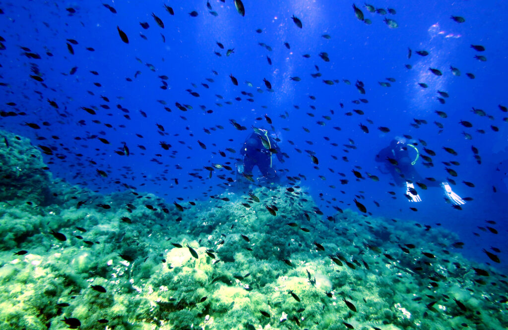 Questa immagine ha l'attributo alt vuoto; il nome del file è IMG_1070-1024x666.jpg