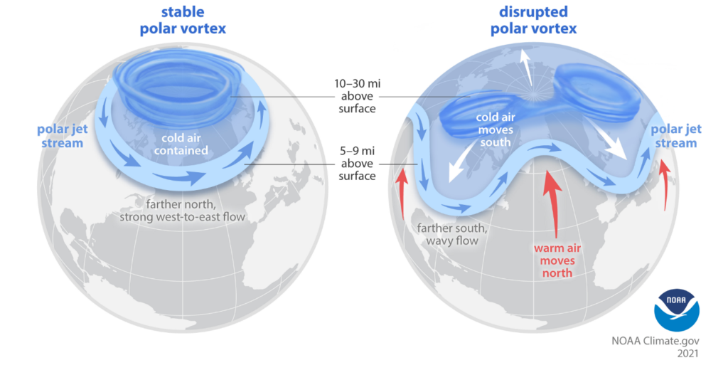 Questa immagine ha l'attributo alt vuoto; il nome del file è Screenshot-2024-10-31-181617-1024x520.png