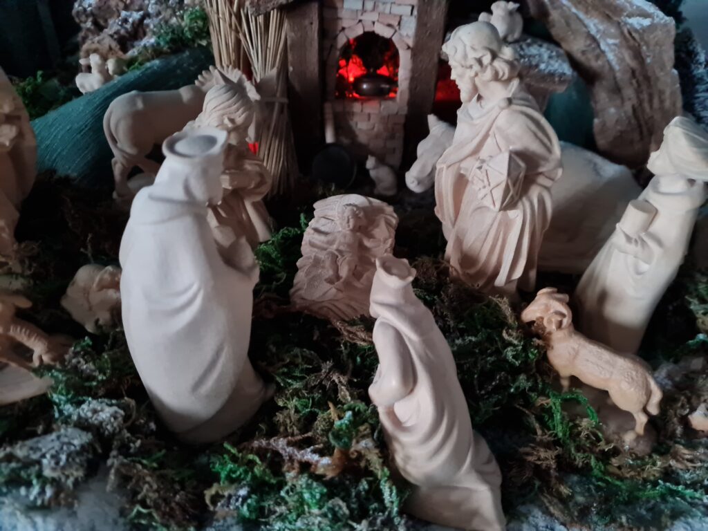 Questa immagine ha l'attributo alt vuoto; il nome del file è 20220106_083735-1024x768.jpg